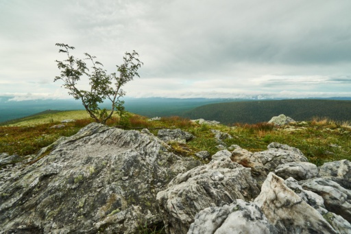 Blick über das Uralgebirge